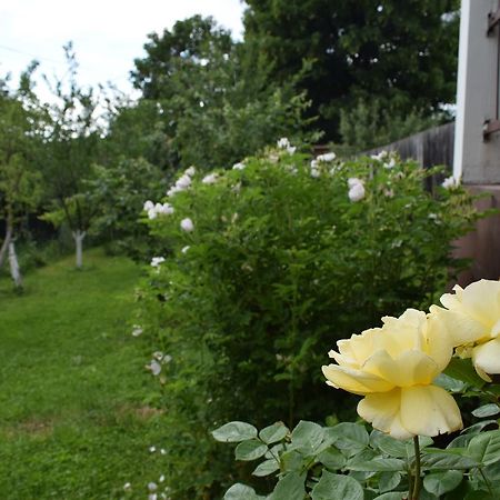 Apartman Mira Сараево Экстерьер фото